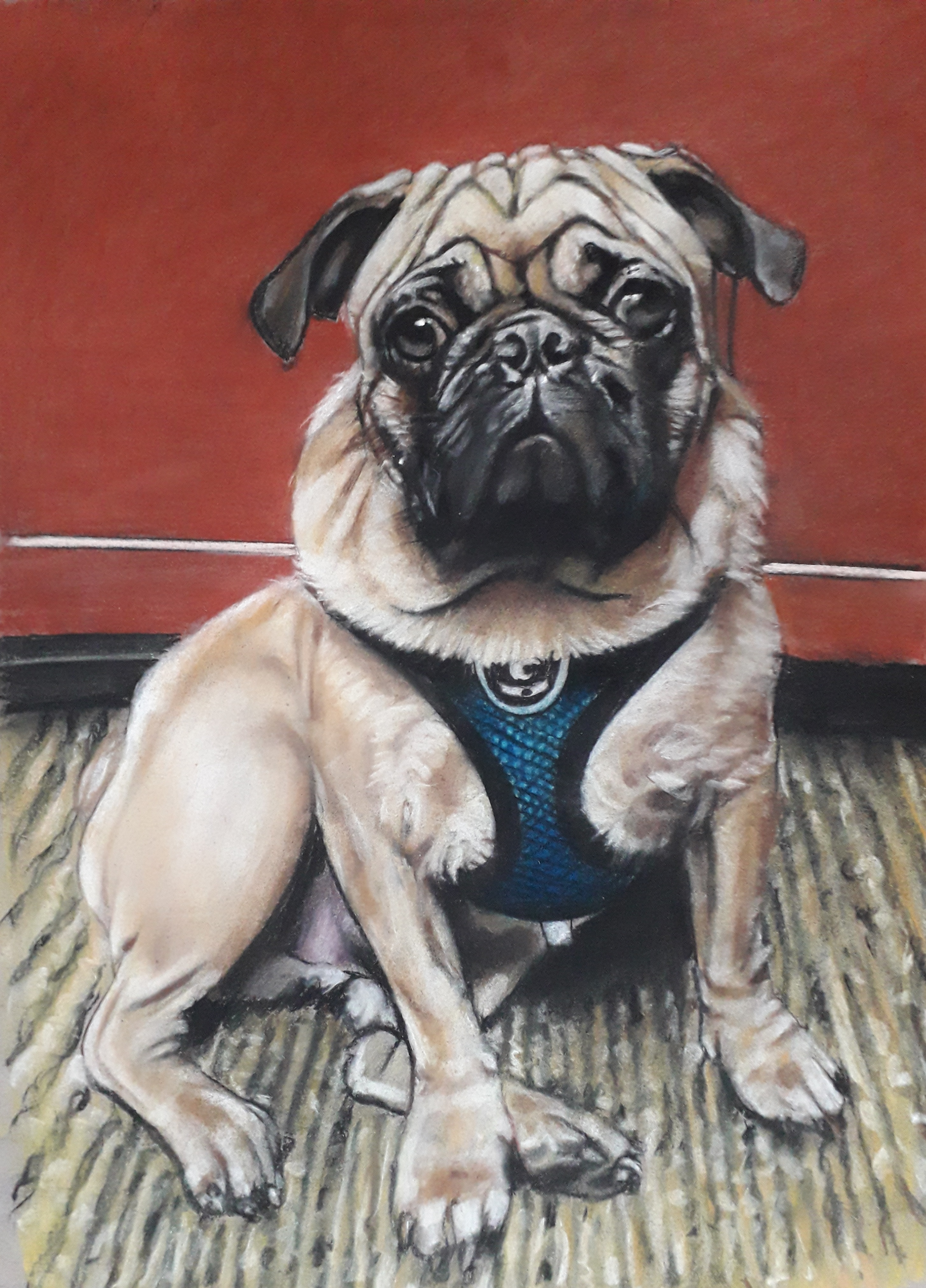 Leonardo%20Herrera%20 %20color%2014